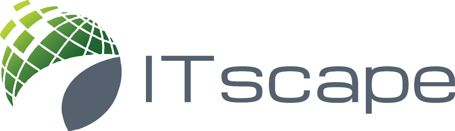 ITSCAPE