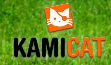 Kamicat