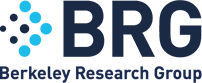 Berkeley Research Group