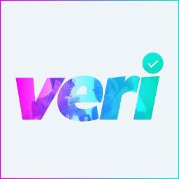 Veri Inc.