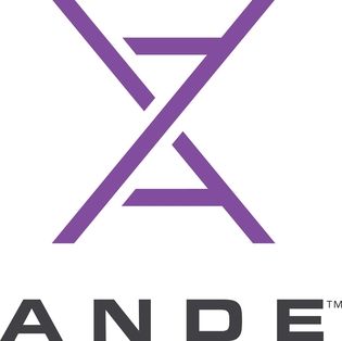 ANDE